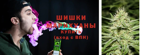 бошки Иннополис