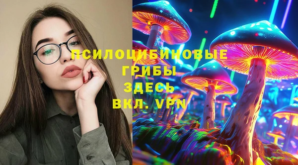 СК Инта