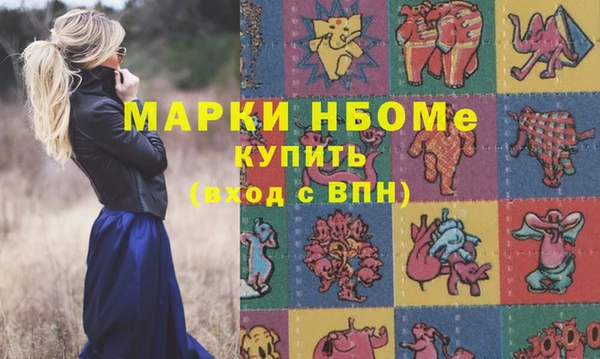 СК Инта