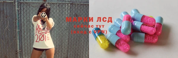 СК Инта