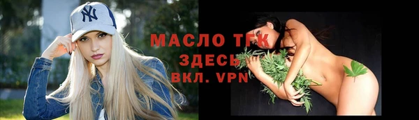 СК Инта