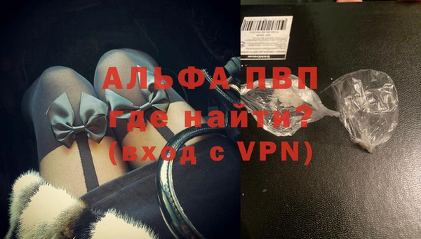 СК Инта