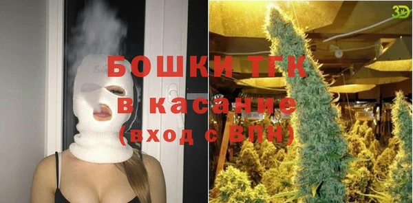 СК Инта