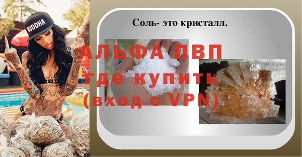 дмт Инсар