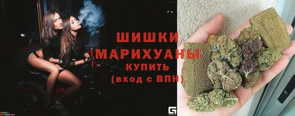 СК Инта