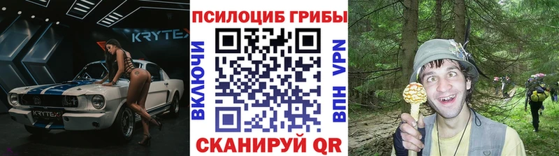 Купить  Дрезна  Псилоцибиновые грибы ЛСД 