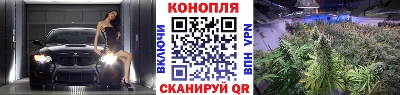 Купить закладки  Дрезна  МАРИХУАНА Amnesia 